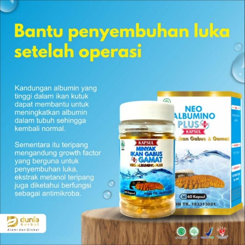 NEO ALBUMINO Minyak ikan gabus plus gamat