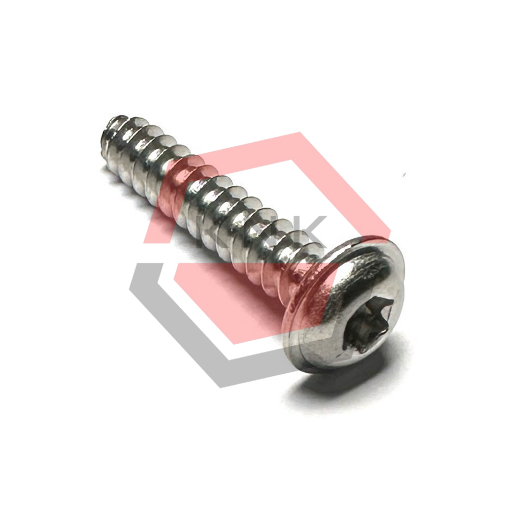 SKRUP BOX FILTER L BINTANG 5x25 STAINLESS STEEL TORX FLANGE BUTTON HEAD