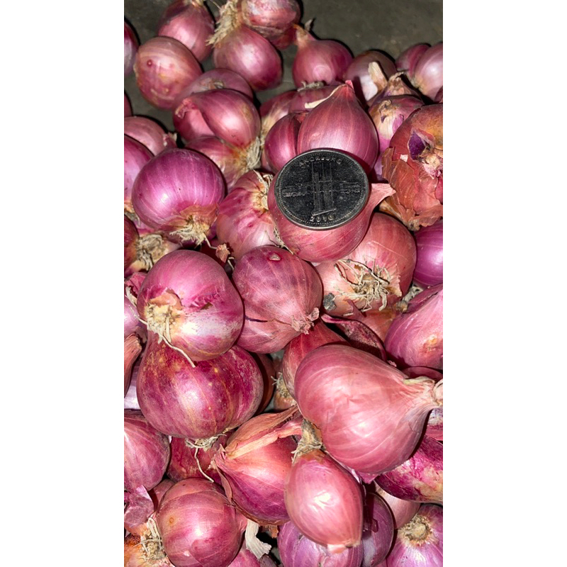 

PROMO BAWANG MERAH SUPER/ BRAMBANG 1kg