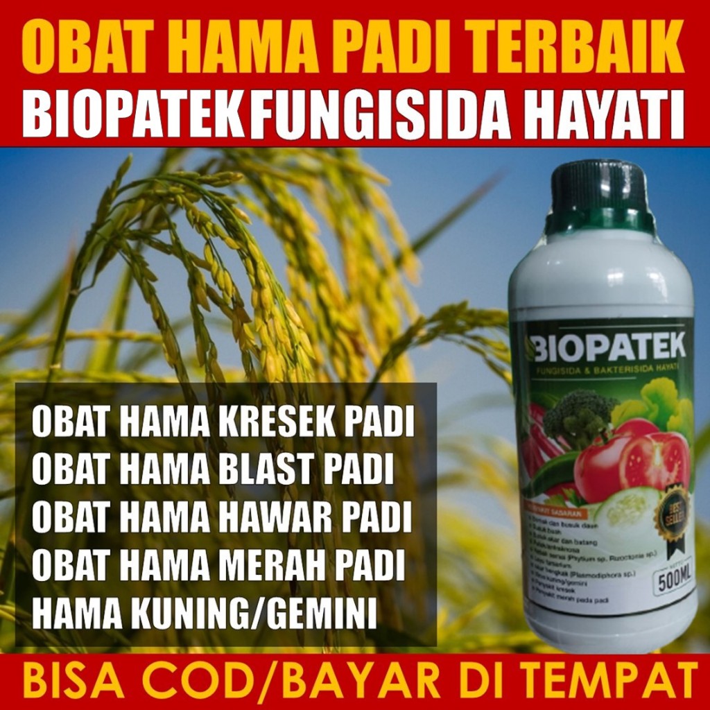 Obat Hama Kresek Padi BIOPATEK Fungisida Hayati 500ML Terbaik Atasi Hama Kresek Padi, Hama Blas Padi
