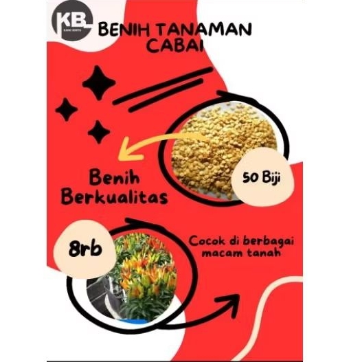 

Kang Bento Benih Tanaman Cabai Repack (50Biji) Benih berkualitas dan mudah ditanam
