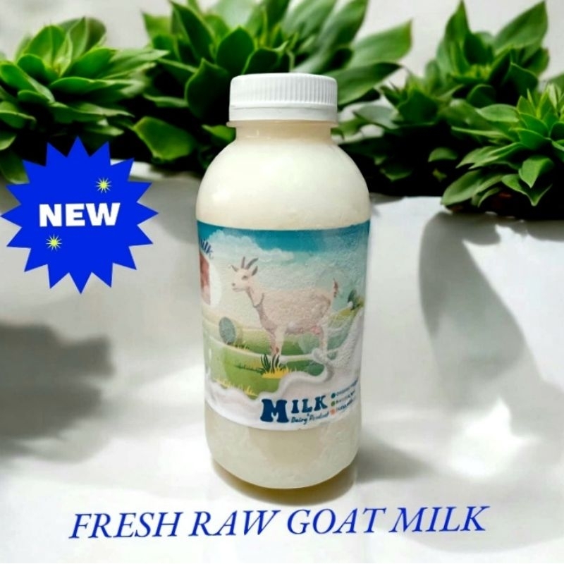 

Susu Kambing Murni Cair Fresh