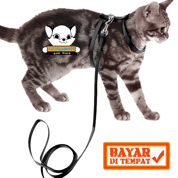 BERKAH NATAL Harnes H Size M  Tali pernuntun untuk Jalan Hewan Kucing Musang Kelinci Biawak Luak Mon