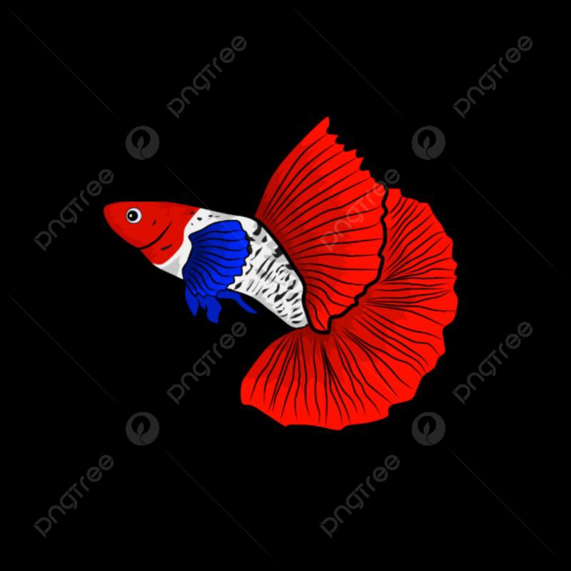 

paket induk an 3 jenis