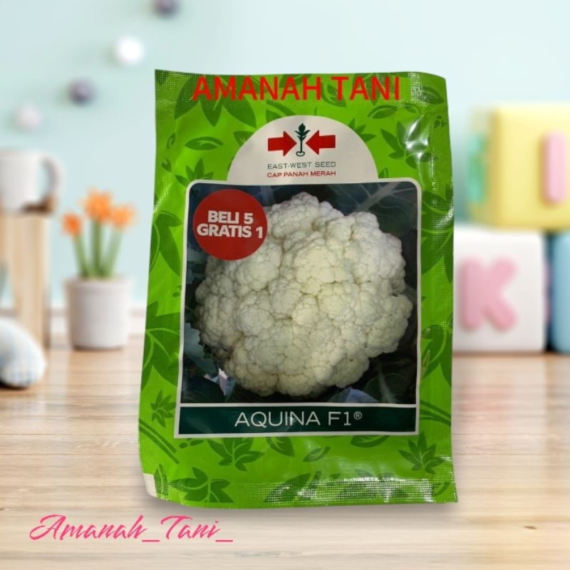 Benih / Bibit Kol Bunga Aquina F1 Cap Panah Merah