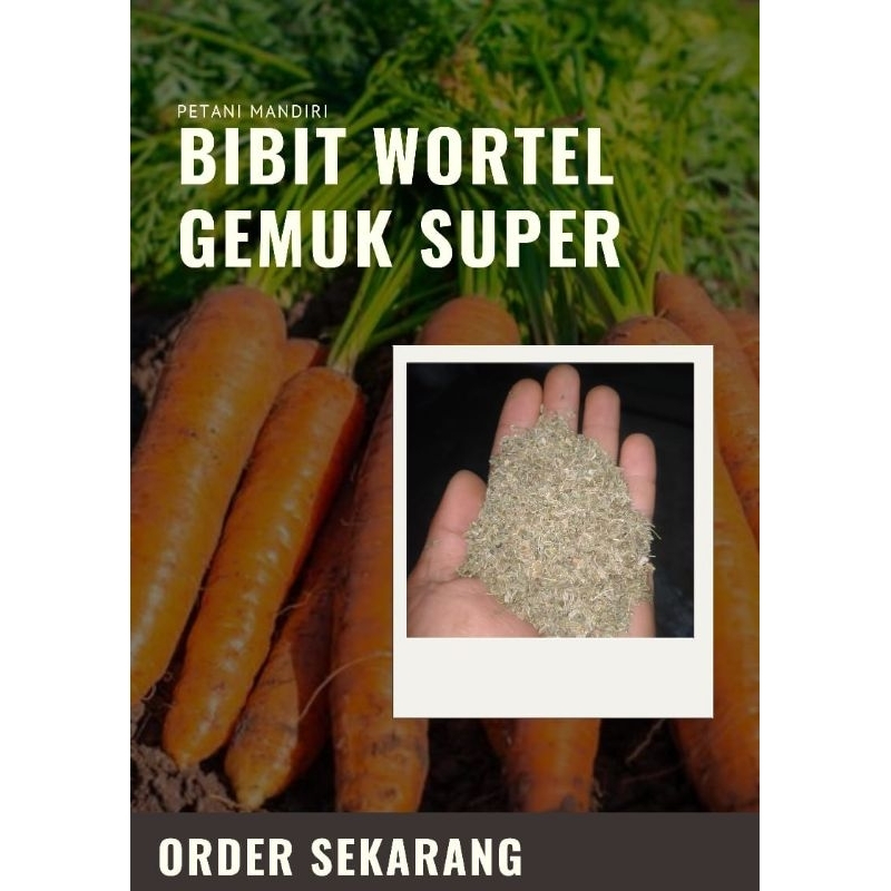 

BIBIT WORTEL GEMUK SUPER LOKAL