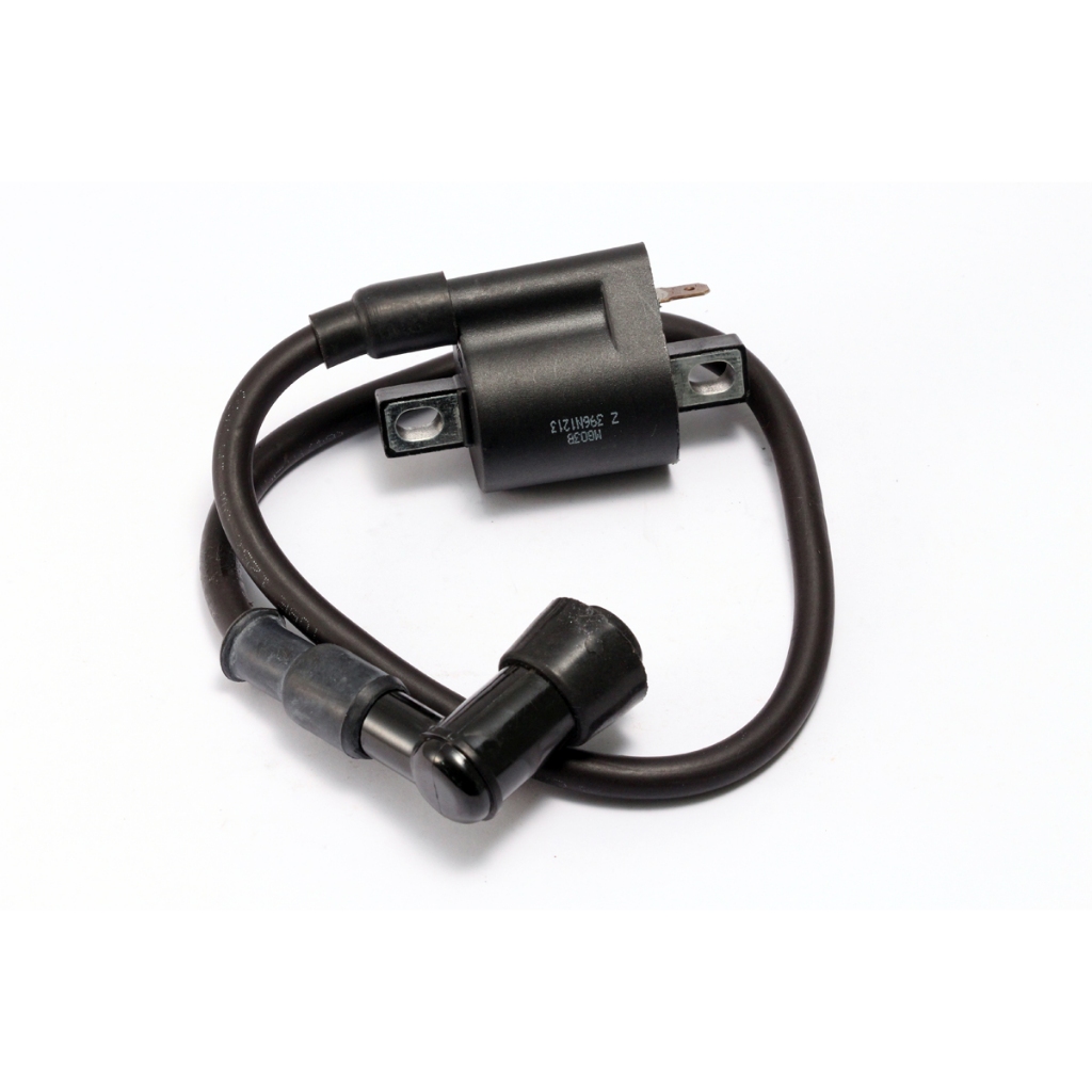 COIL, IGNITION DAYTONA ANIMA