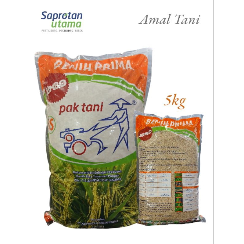 Benih / Bibit Padi CIHERANG JUMBO PRIMA (5Kg) | PAK TANI