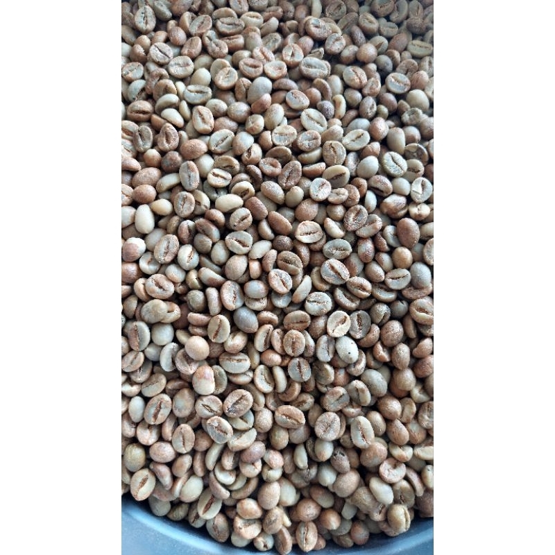 

Green bean Robusta Lampung grade 1- Natural Process (5kg)