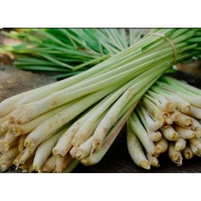 

Sereh/Serai segar 1kg