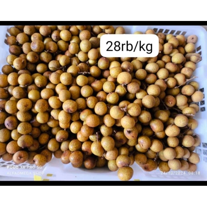 

kelengkeng 1kg