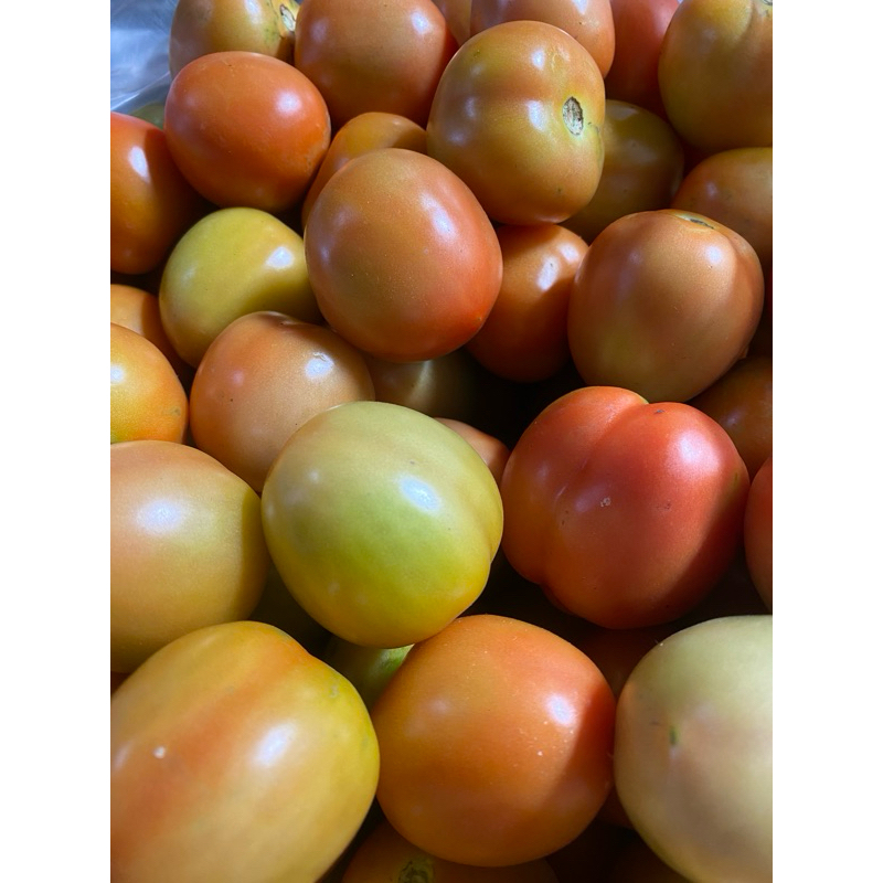 

tomat 1kg