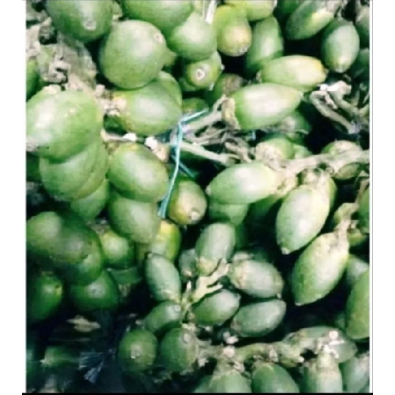 

1kg pinang muda segar