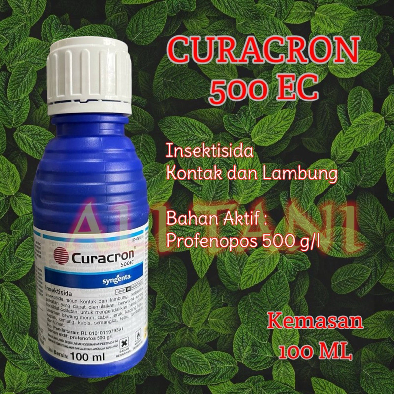 CURACRON 500 EC Insektisida Ulat dan Lalat Buah