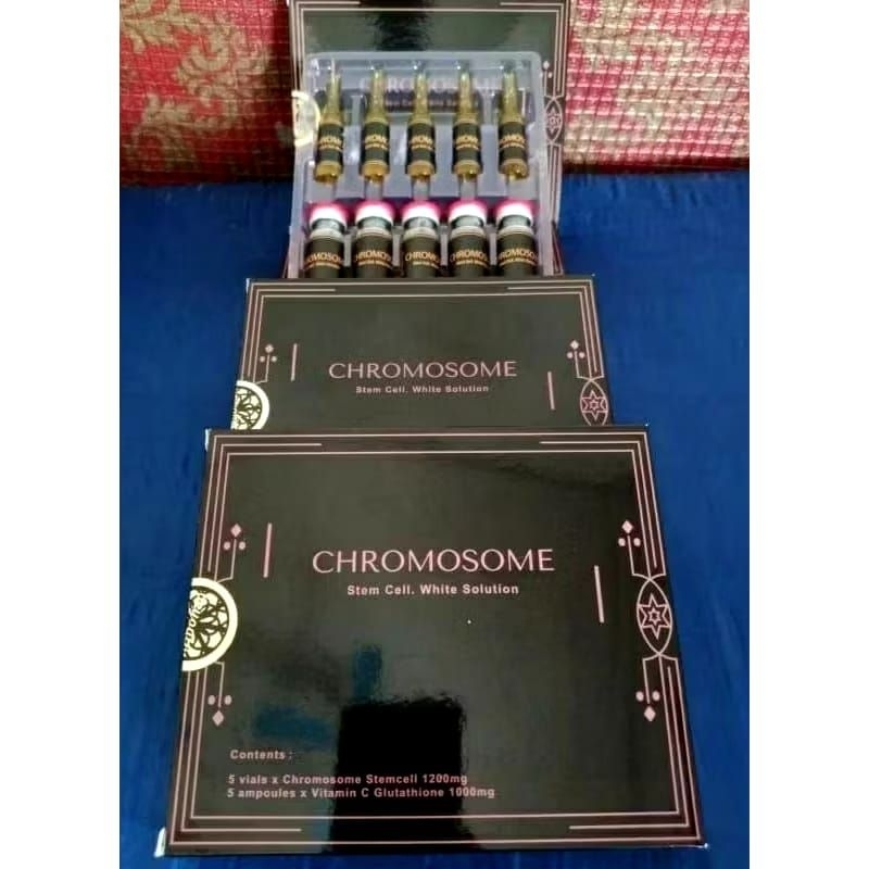chromosome stemcell segel perbook original