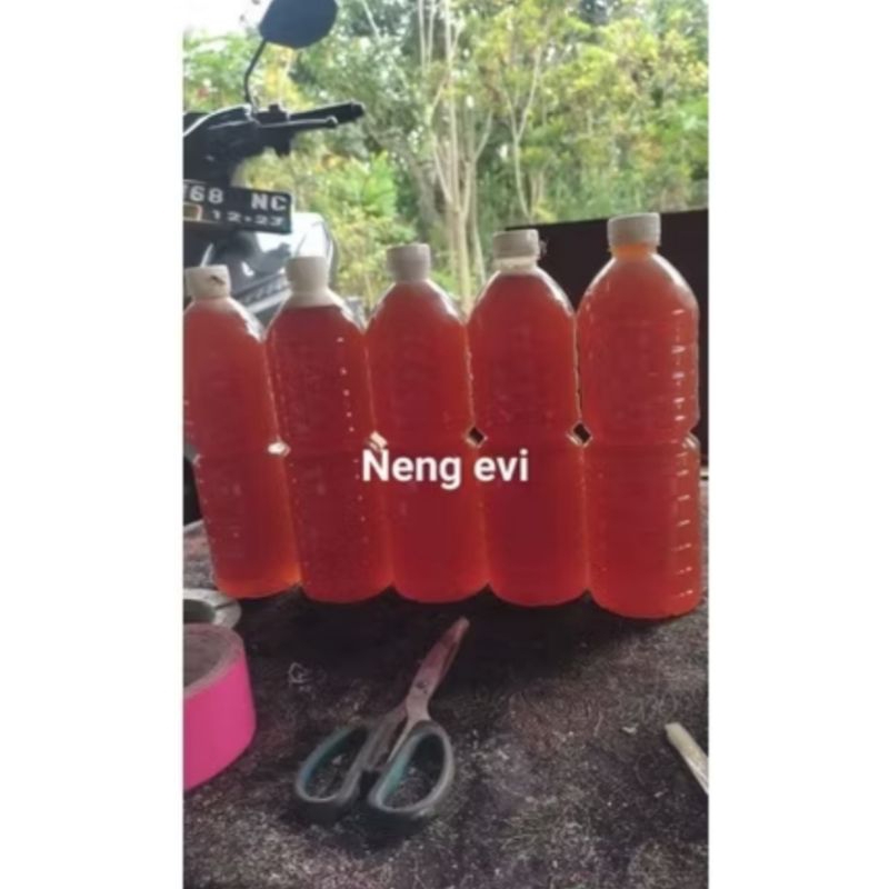 

MADU KLENCEN MURNI BELAH BAMBU UK 1LITER DAN 500ML