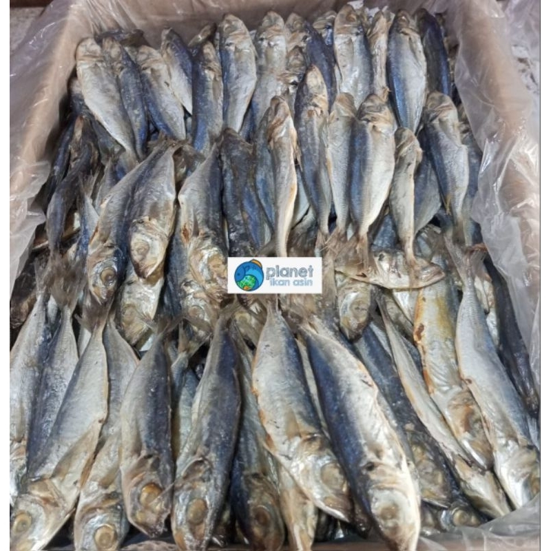 

ikan asin layang 500gr