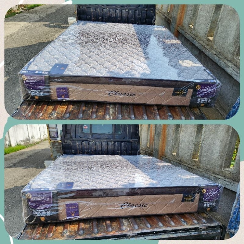matras springbed kasur kangaroo classic plushtop