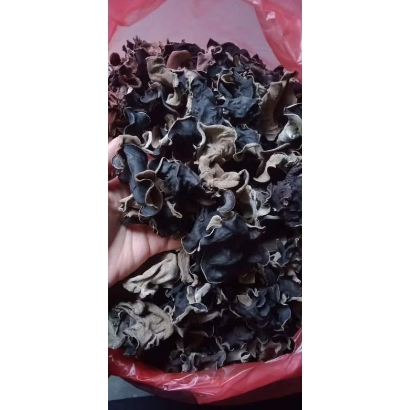 

JAMUR KUPING KERING 30Gram