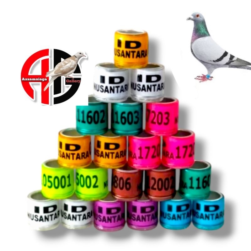 RING  ID NUSANTARA RING BURUNG MERPATI  RING MERPATI