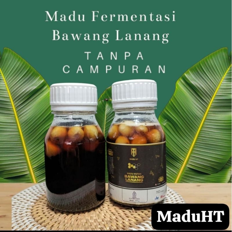 

Madu HT Bawang Lanag