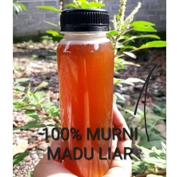 

Madu lebah liar dorsata 100% murni 1kg