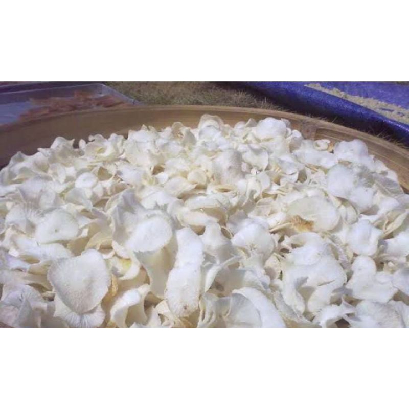 

KERIPIK SINGKONG MENTAH MARINASI 500 GR LEBIH