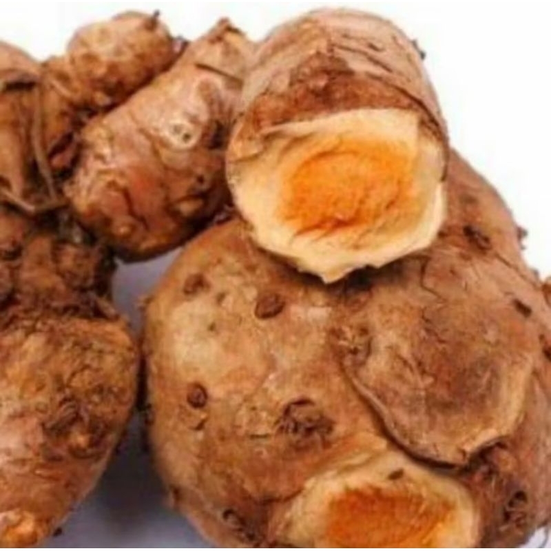 

Temulawak Segar / Rimpang Temulawak / curcuma xanthorrhiza Roxb 500gr 1000gr