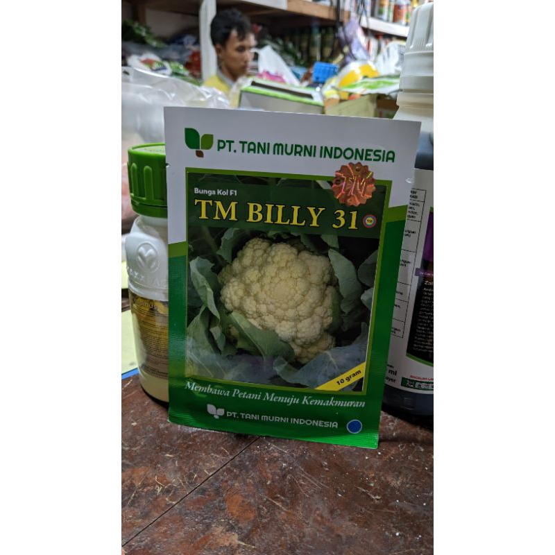 

TM BILLY 31