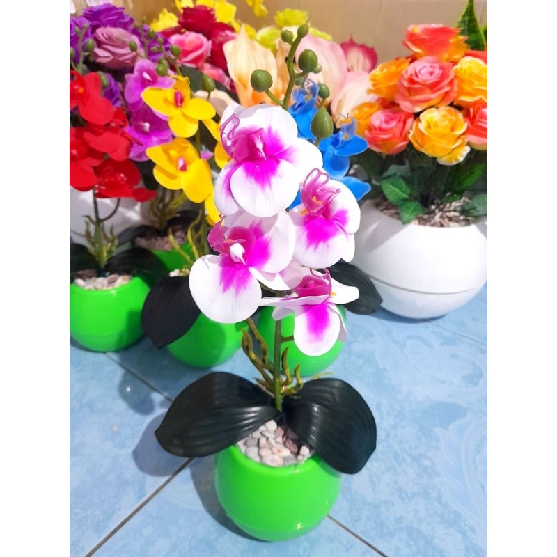 Anggrek Latex Pot bola mini