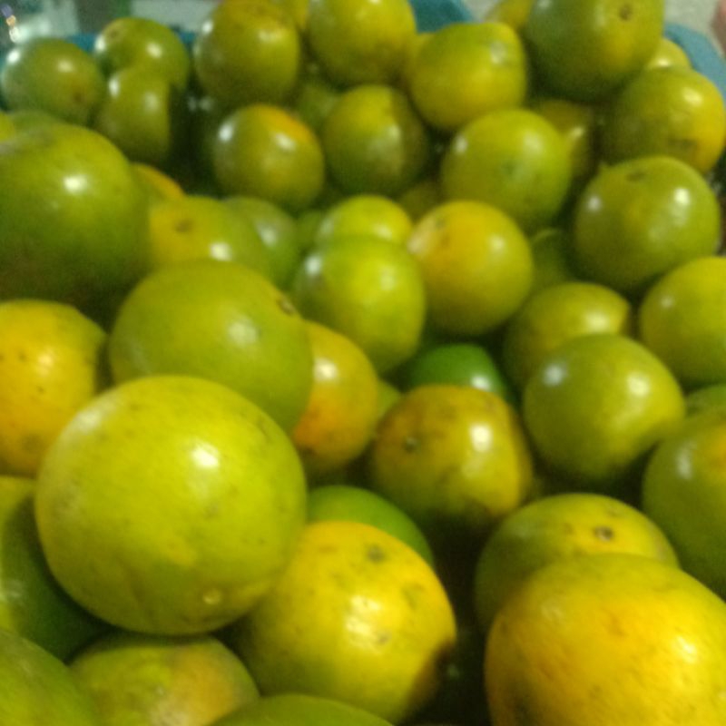 

jeruk peres per 500 gr