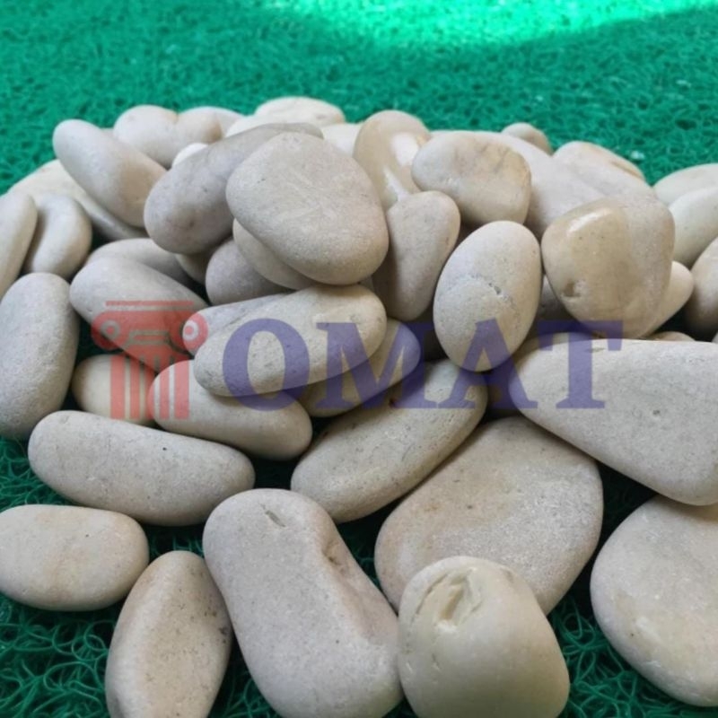 Batu Koral Putih Kupang 10 kg | Koral Putih | Batu Kupang Putih