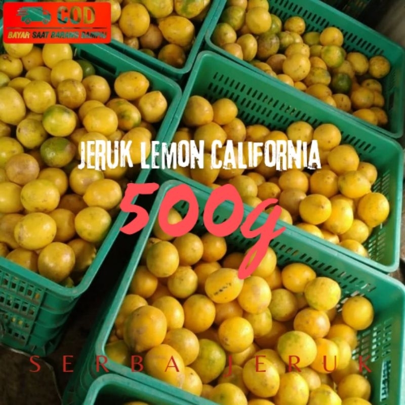 

Lemon California 500g / LEMON CALIFORNIA /Lemon Fresh / Lemon langsung dari petani