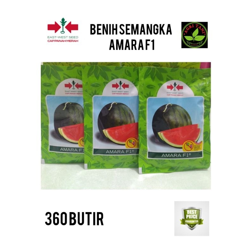 BENIH SEMANGKA AMARA F1