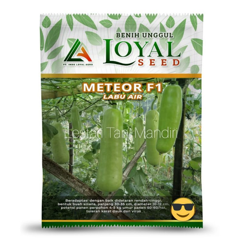 BENIH LABU AIR METEOR F1