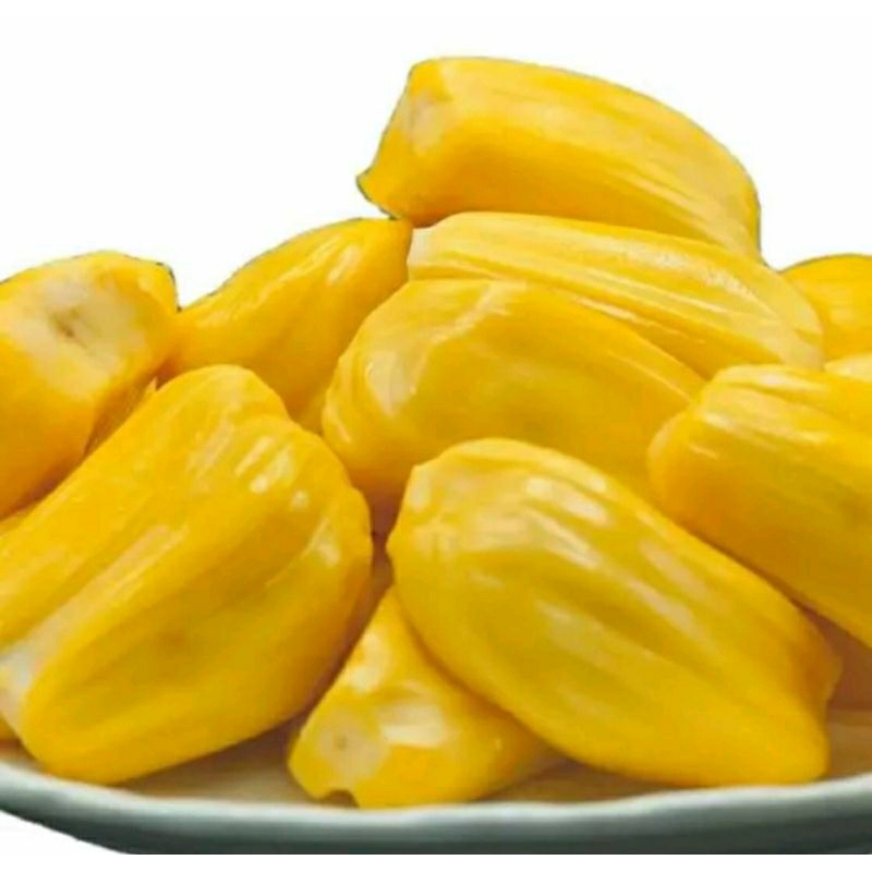 

NANGKA MADU KUPAS TANPA BIJI