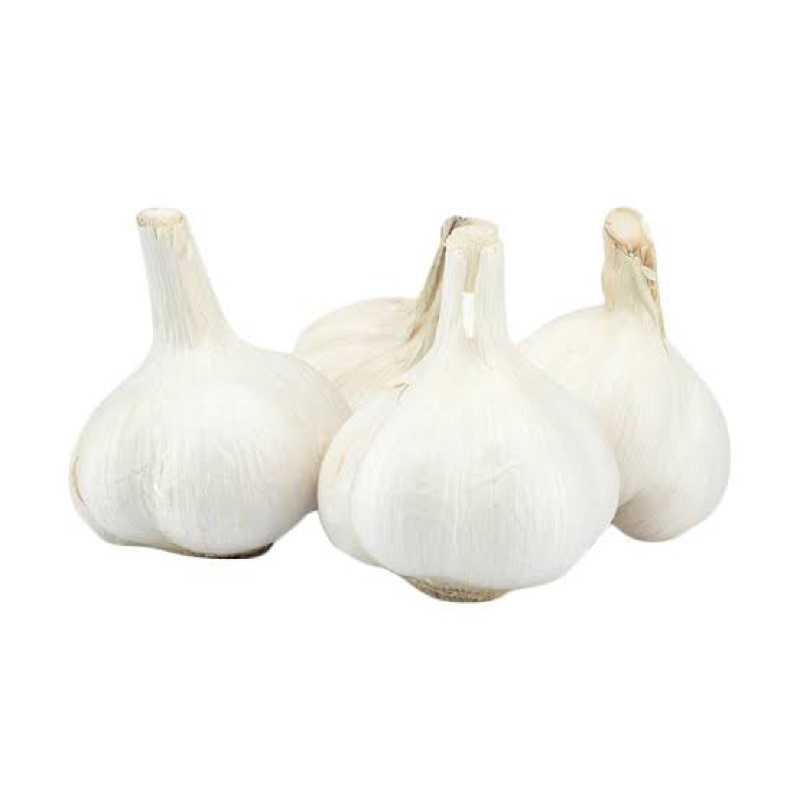 

BAWANG PUTIH KATING 1KG | KUALITAS 100% TERBAIK