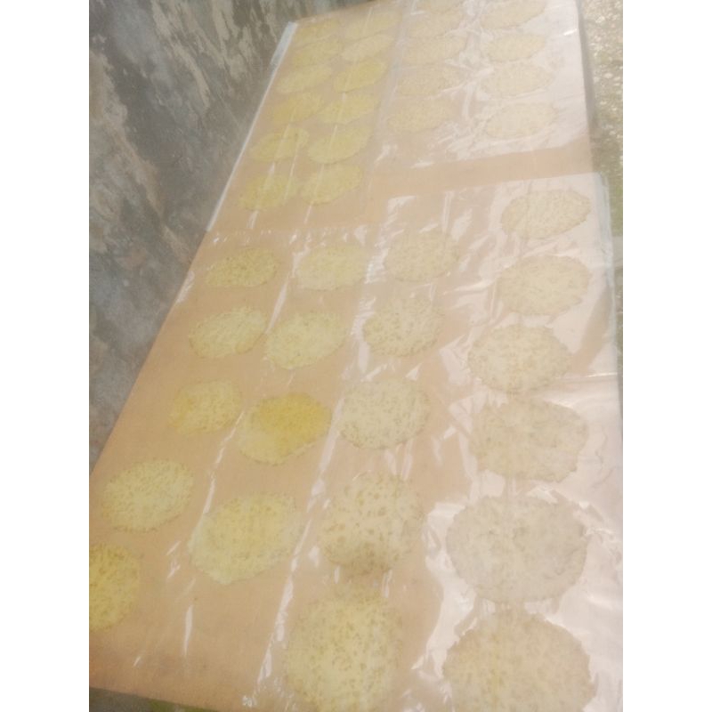 

kerupukjengkol