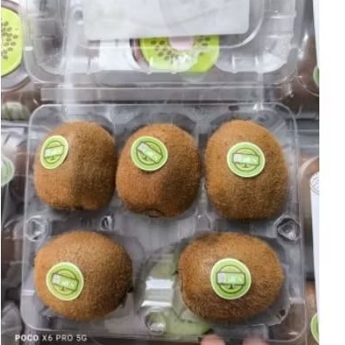 

kiwi hijau