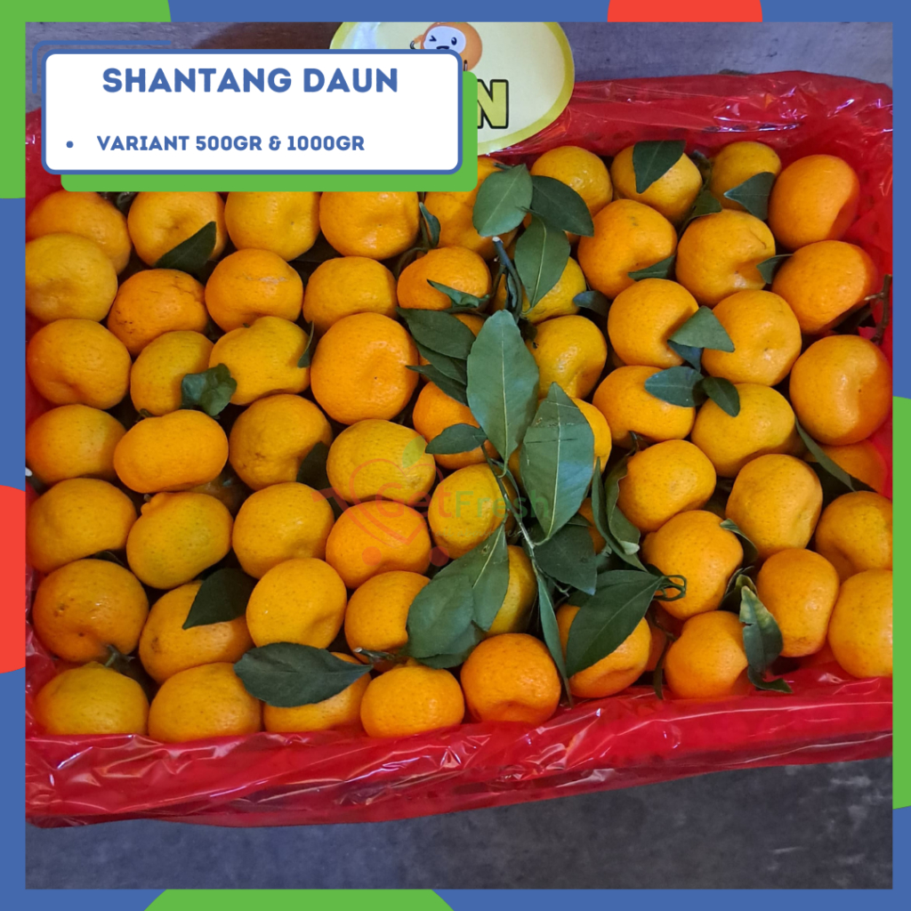 

Shantang Daun - Pack 500gr/1kg