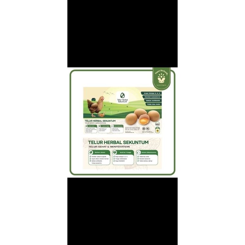 

telur omega / herbal (isi 15 butir)