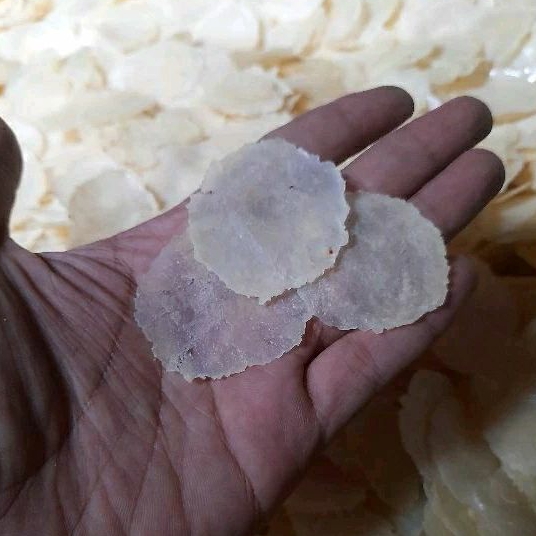 

EMPING MELINJO KEBUMEN UK KECIL (BIJI 1-2)KEMASAN 500gram