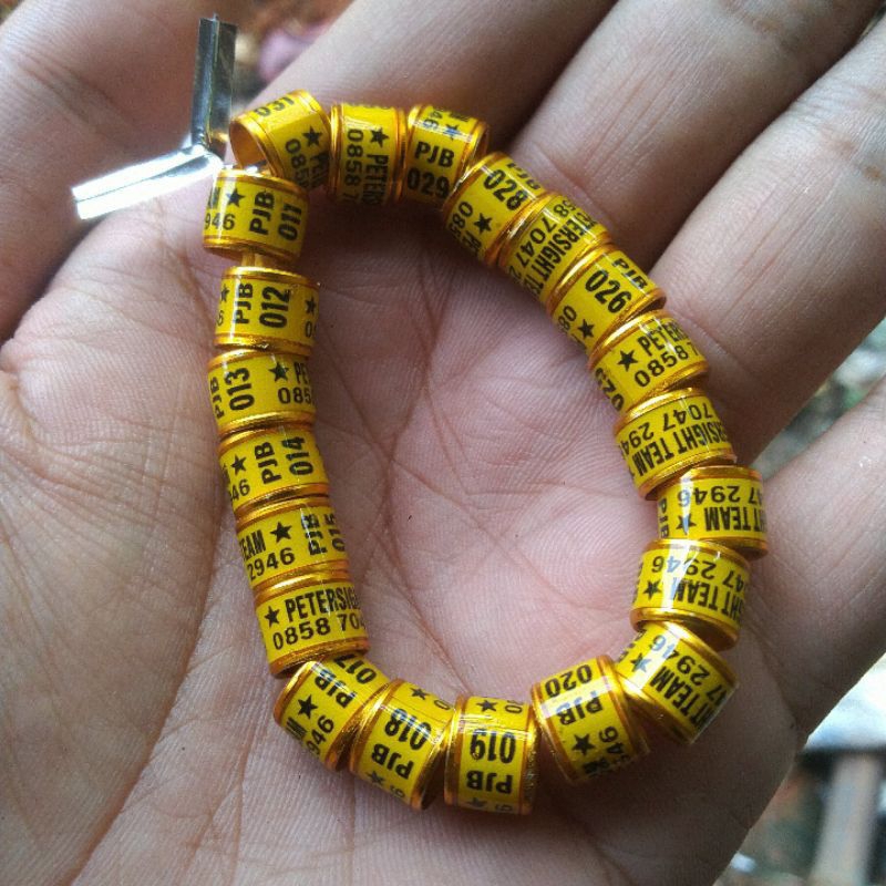 Ring merpati custom Roda