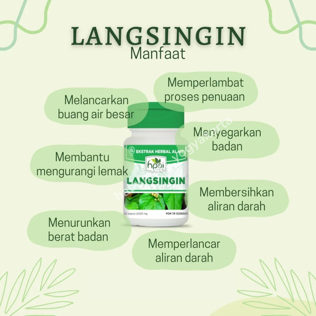 MEMBERSIHKAN DARAH KOTOR- LANGSINGIN