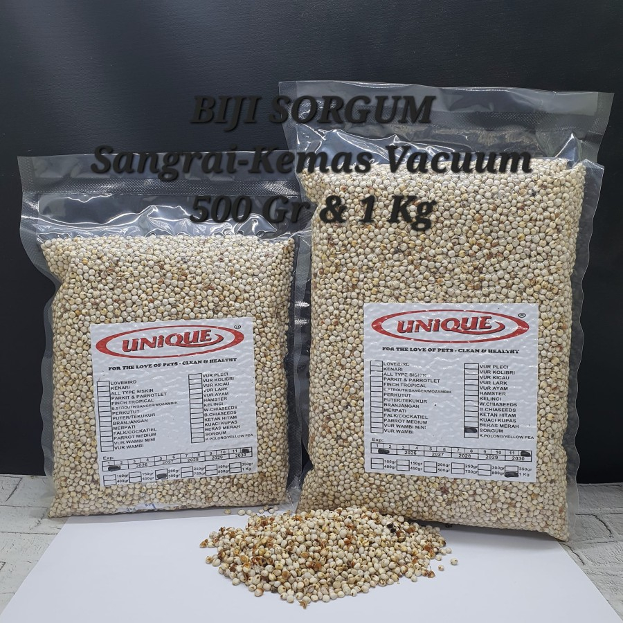 BIJI SORGUM PUTIH SANGRAI MILO SEED PAKAN BURUNG PUTER DERKUKU LOVEBIRD MEDIUM PARROT MERPATI HAMSTE