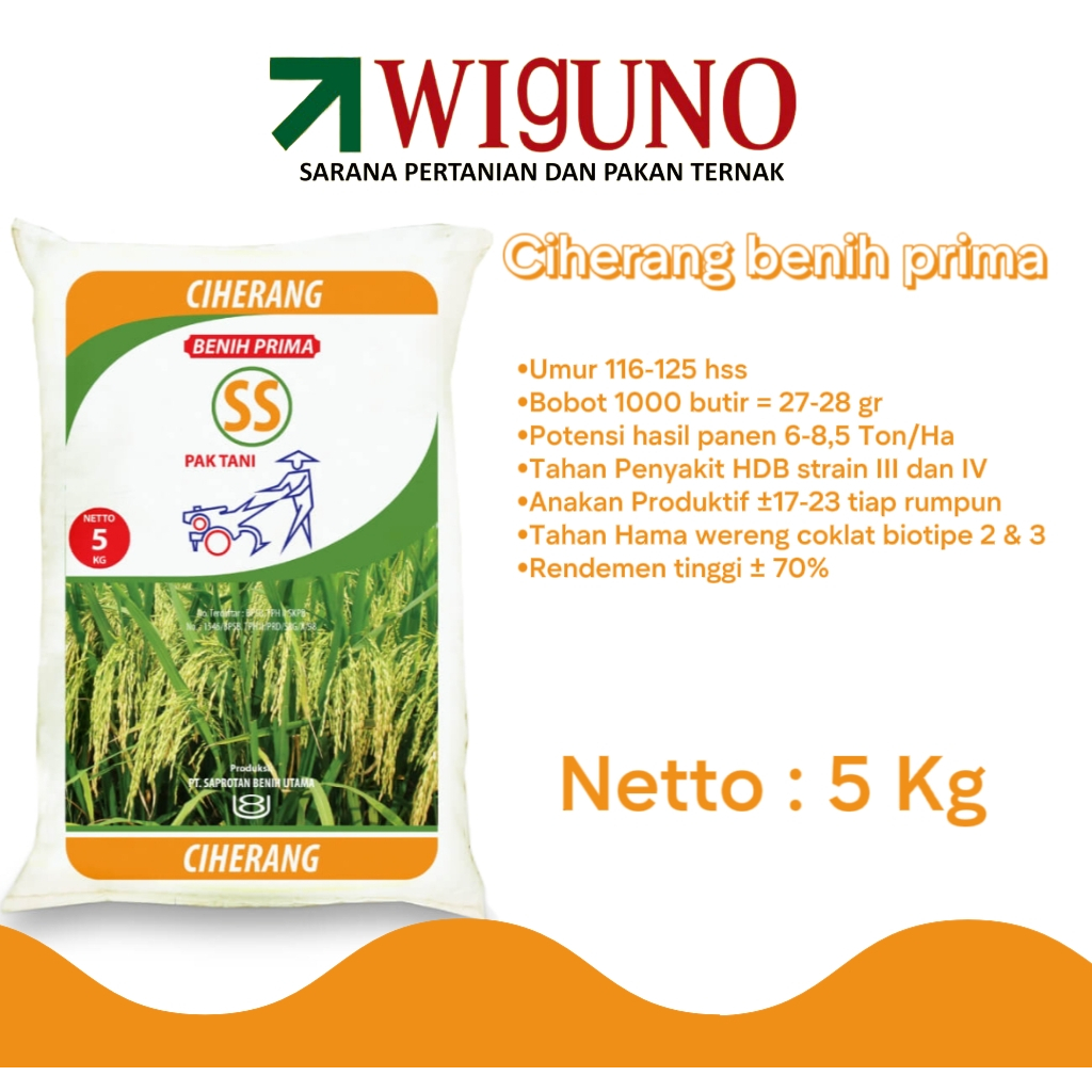 Benih Bibit Padi - Ciherang Pak Tani Saprotan Utama