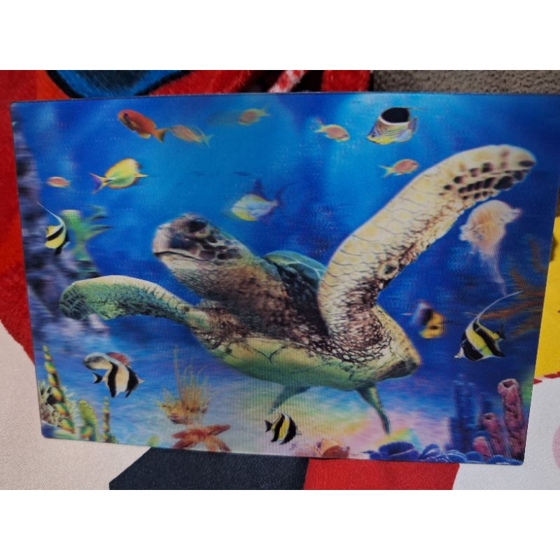 

kartu pos 3D penyu/ 3D turtle postcard