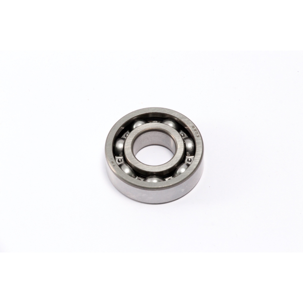 #5131 BEARING #6203 DAYTONA ANIMA