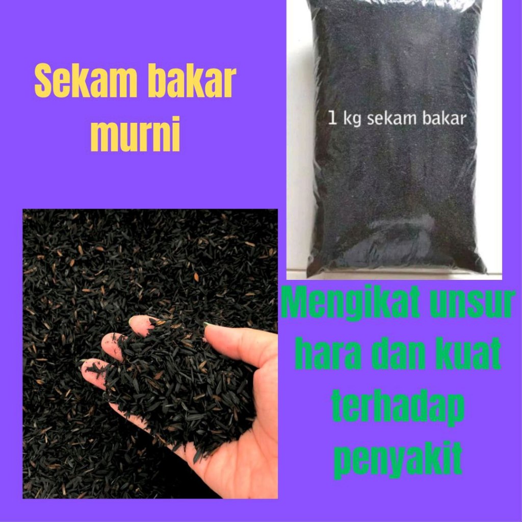 TERLARIS..! Sekam Bakar Halus 1kg
