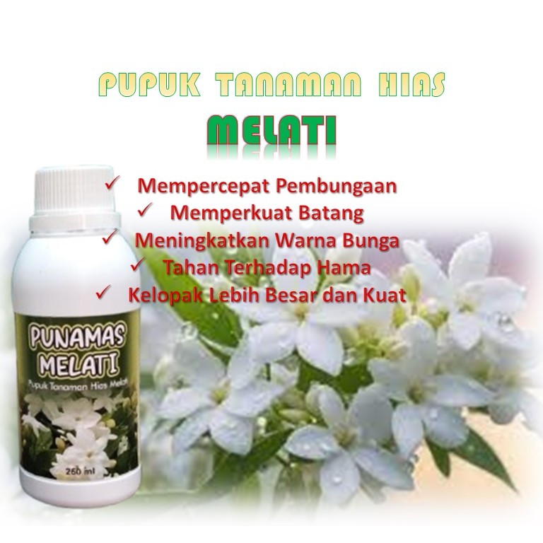 PUPUK BUNGA / PUPUK MELATI / PUPUK BUNGA MELATI / PUPUK ORGANIK BUNGA / PUPUK TANAMAN HIAS